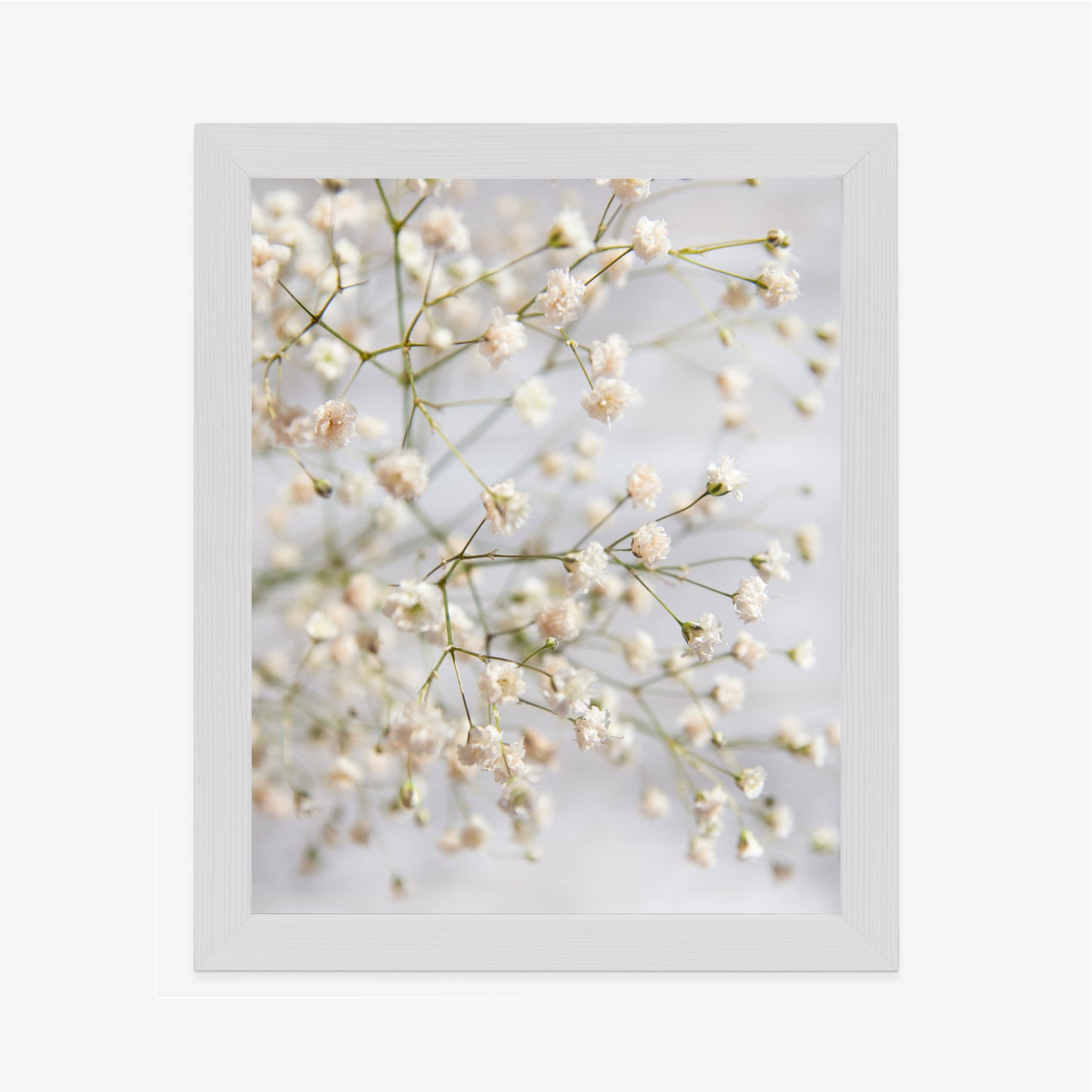 Poster Weiße Kleine Blüten An Dünnen Zweigen Rahmen Hölzern Farbe Schwarz