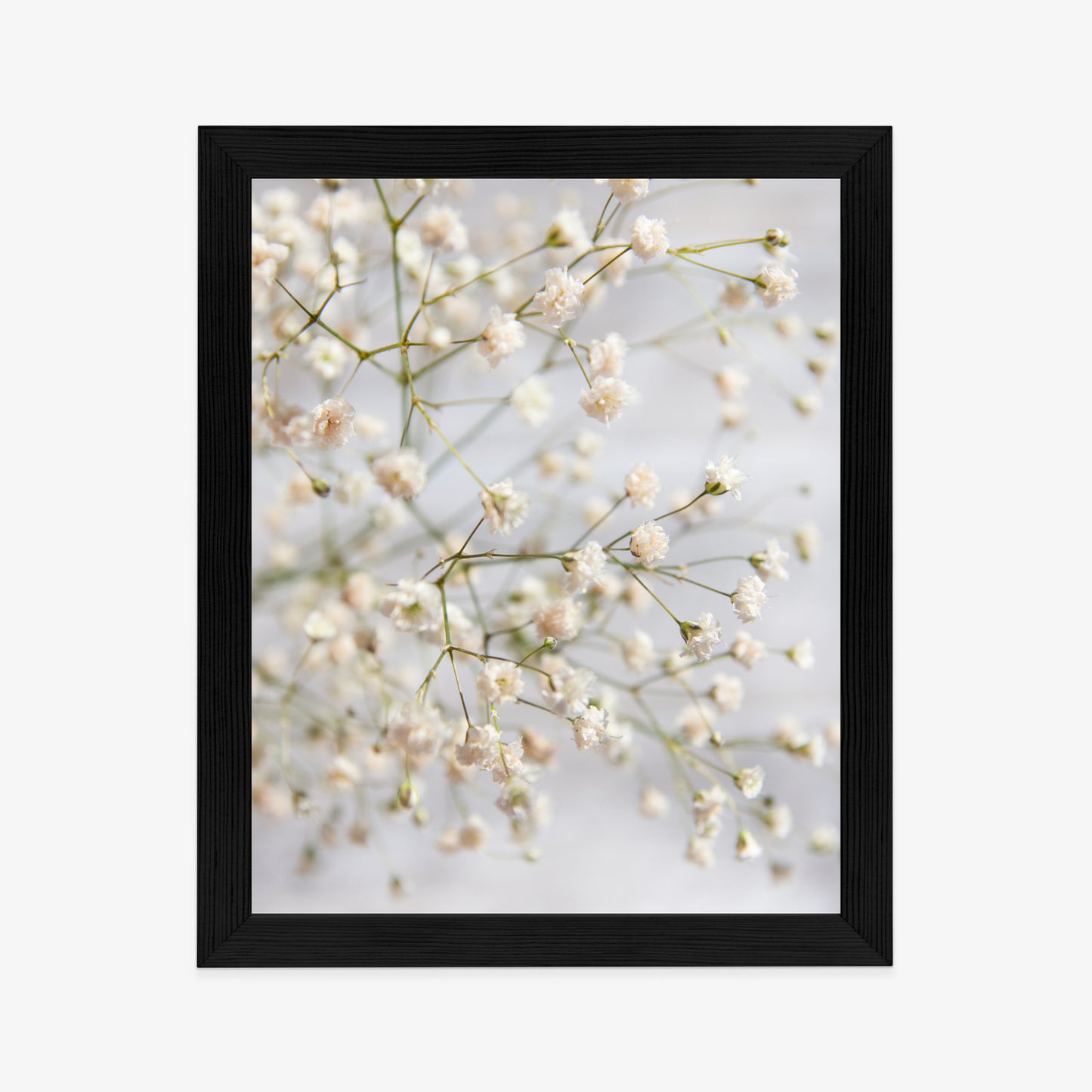 Poster Weiße Kleine Blüten An Dünnen Zweigen Rahmen Hölzern Farbe Schwarz