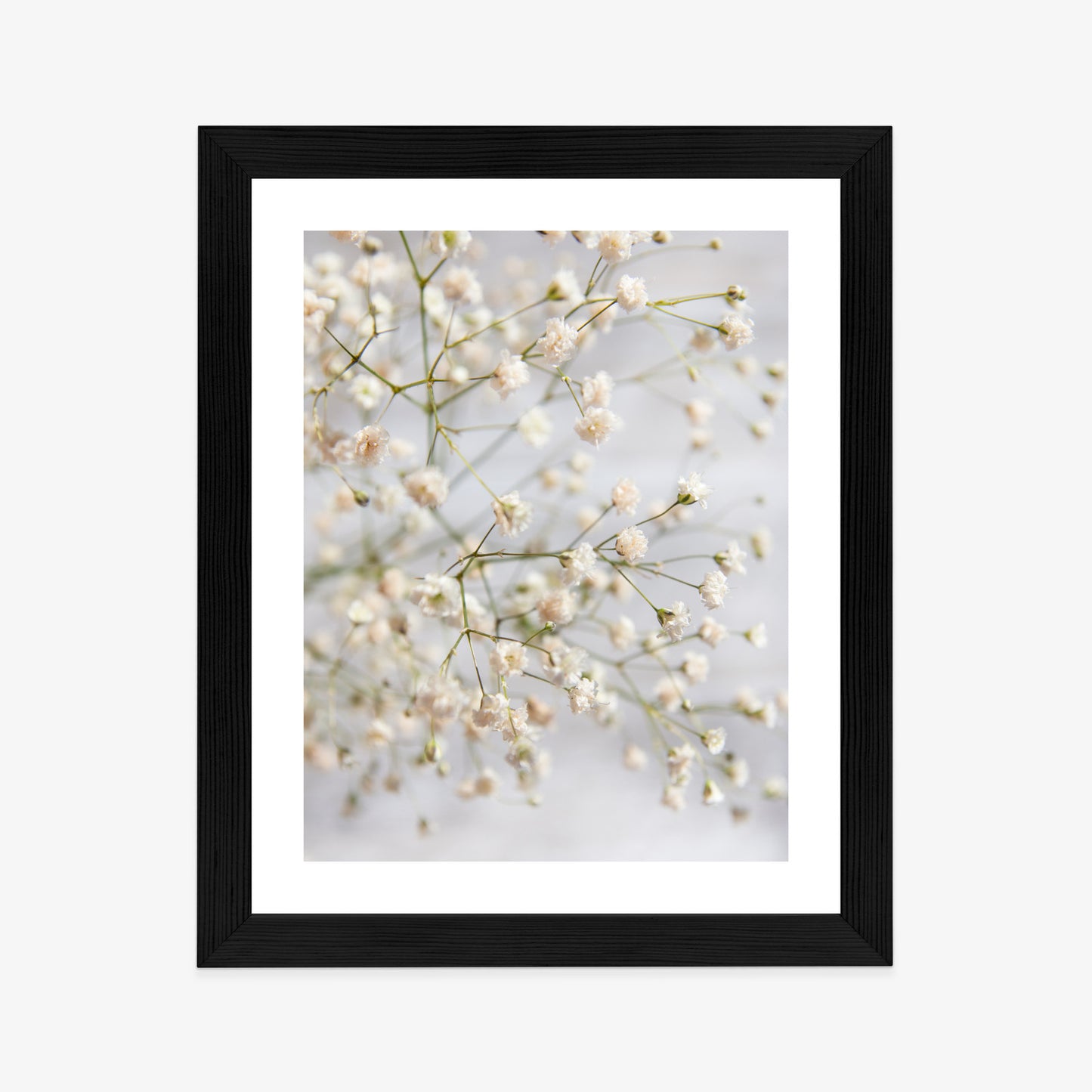 Poster Weiße Kleine Blüten An Dünnen Zweigen Rahmen Hölzern Farbe Schwarz