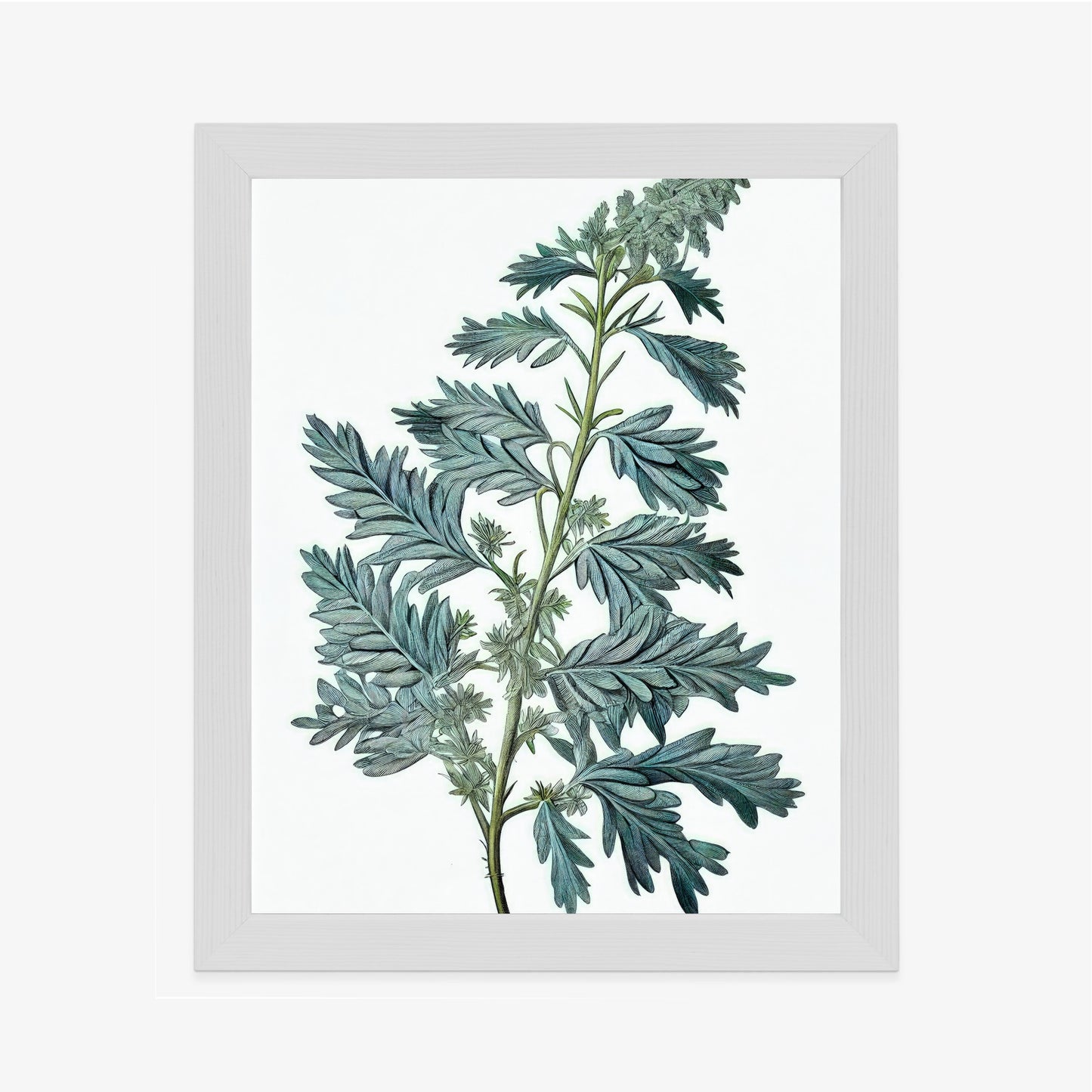 Poster Salbeiblatt Rahmen Holz Mit Passepartout Farbe Natürlich