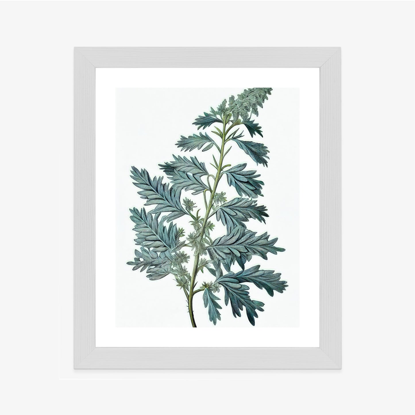 Poster Salbeiblatt Rahmen Holz Mit Passepartout Farbe Natürlich