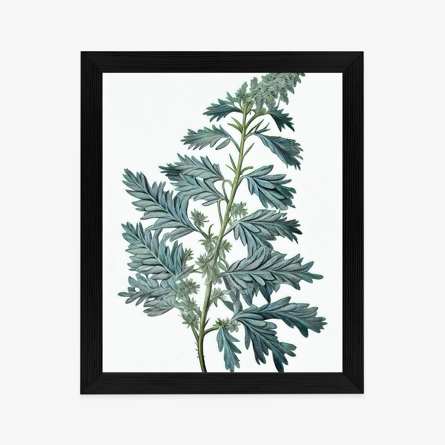 Poster Salbeiblatt Rahmen Holz Mit Passepartout Farbe Natürlich