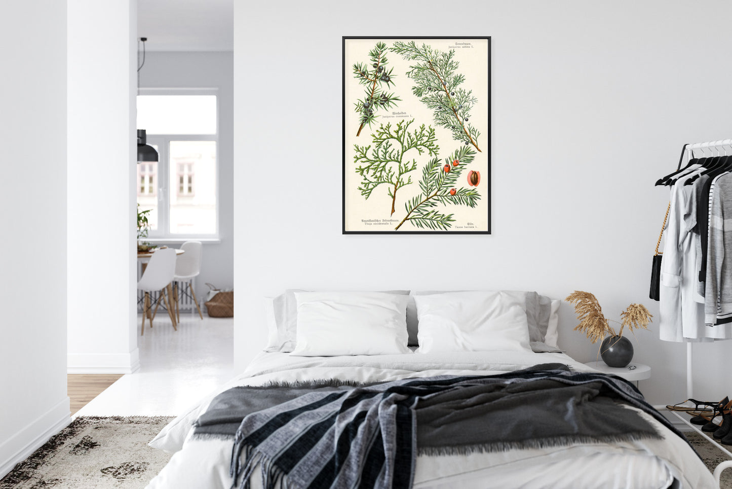Poster Bilder Alter Botanischer Pflanzen Rahmen Aluminium Mit Passepartout Farbe Silber