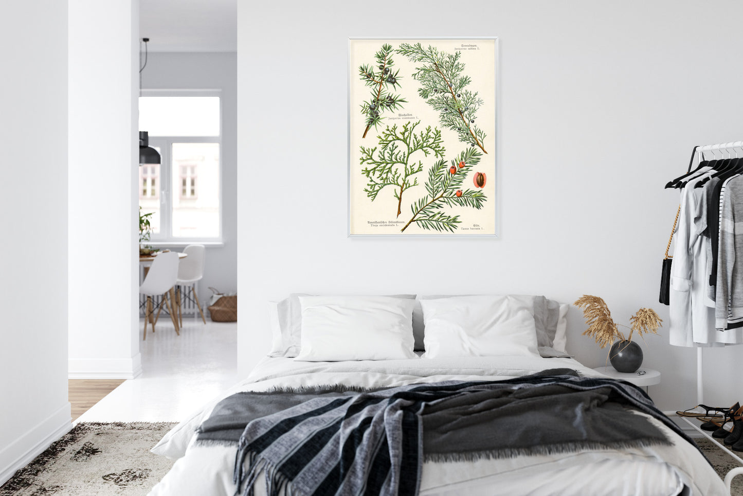 Poster Bilder Alter Botanischer Pflanzen Rahmen Aluminium Mit Passepartout Farbe Silber