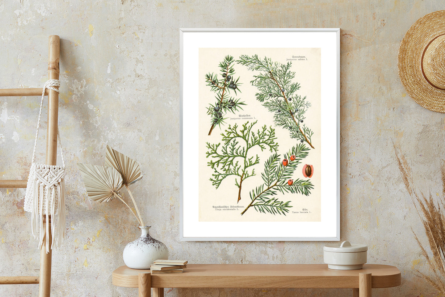 Poster Bilder Alter Botanischer Pflanzen Rahmen Aluminium Mit Passepartout Farbe Silber