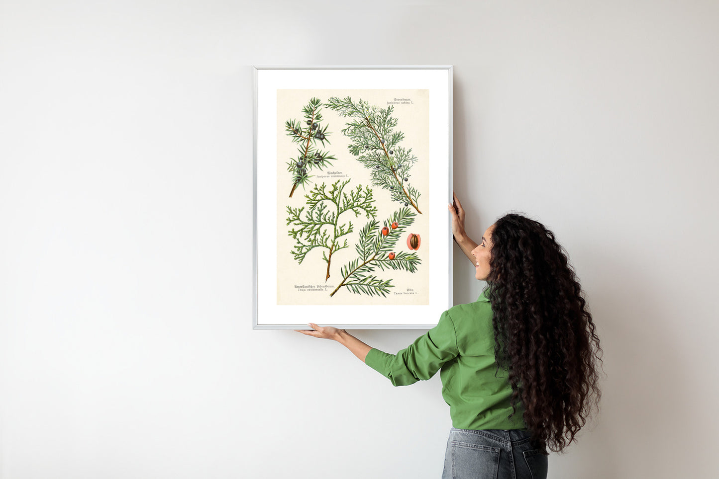 Poster Bilder Alter Botanischer Pflanzen Rahmen Aluminium Mit Passepartout Farbe Silber