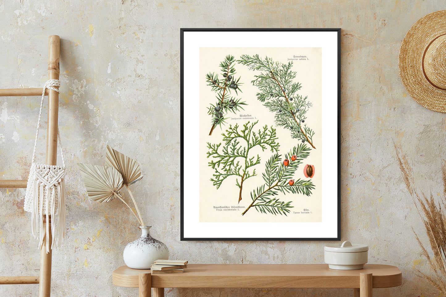 Poster Bilder Alter Botanischer Pflanzen Rahmen Aluminium Mit Passepartout Farbe Silber