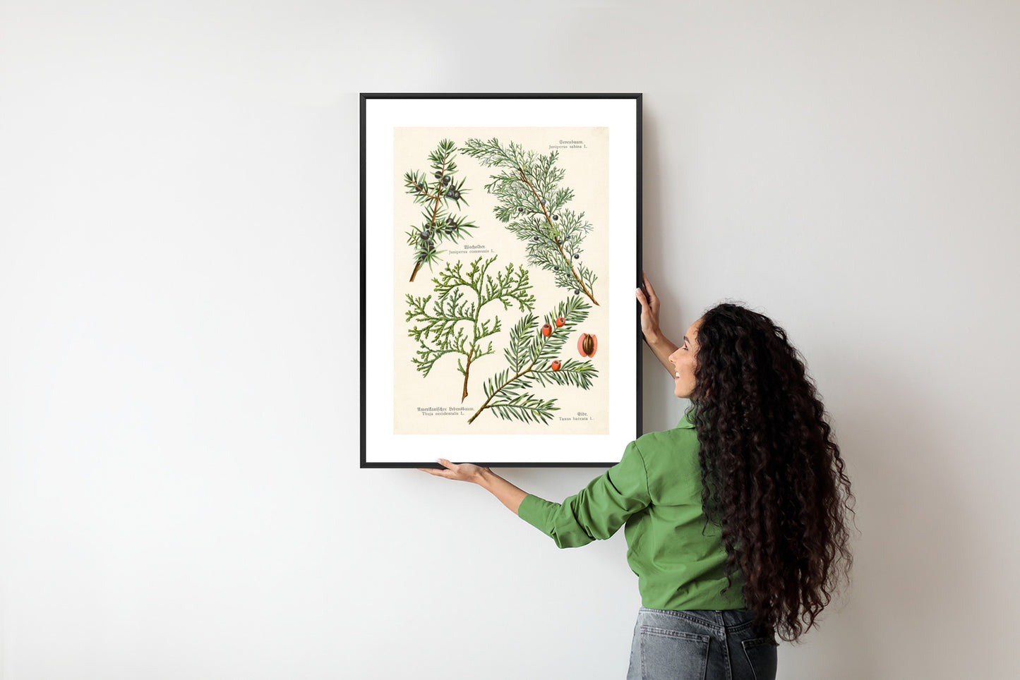 Poster Bilder Alter Botanischer Pflanzen Rahmen Aluminium Mit Passepartout Farbe Silber
