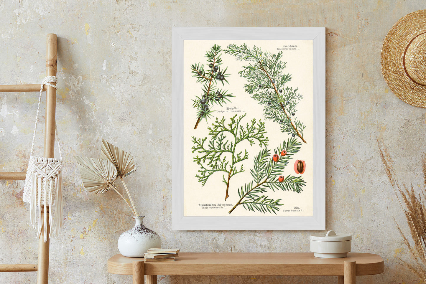 Poster Bilder Alter Botanischer Pflanzen Rahmen Aluminium Mit Passepartout Farbe Silber