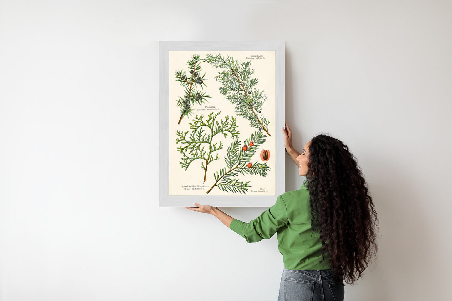 Poster Bilder Alter Botanischer Pflanzen Rahmen Aluminium Mit Passepartout Farbe Silber