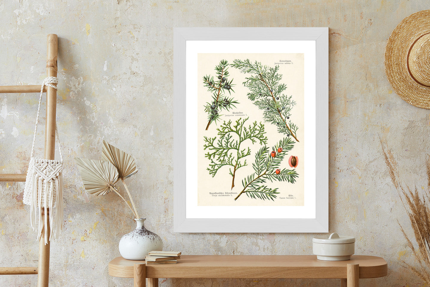 Poster Bilder Alter Botanischer Pflanzen Rahmen Aluminium Mit Passepartout Farbe Silber