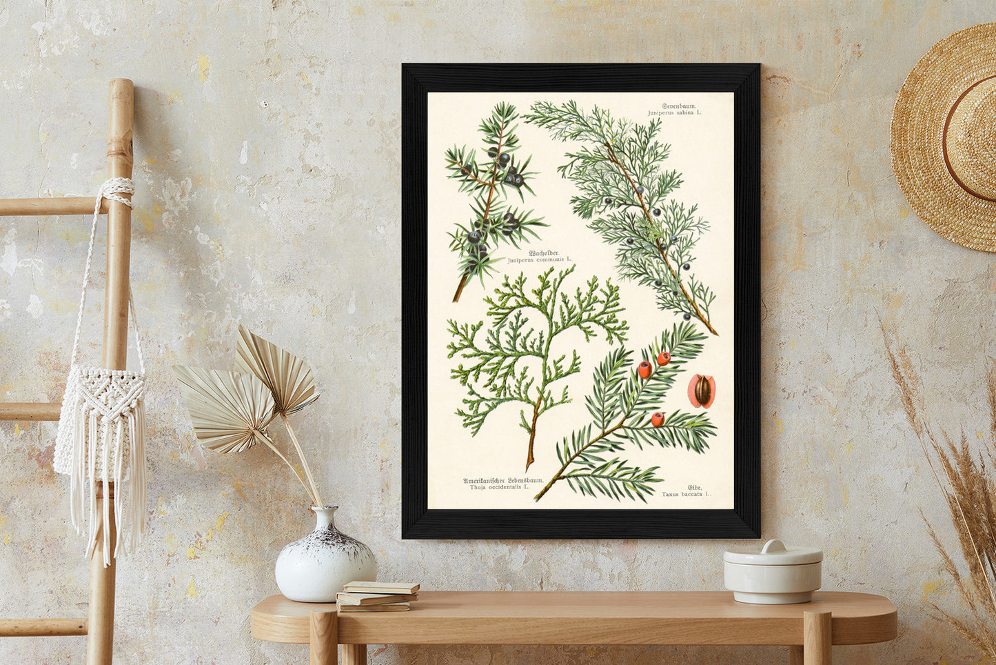 Poster Bilder Alter Botanischer Pflanzen Rahmen Aluminium Mit Passepartout Farbe Silber