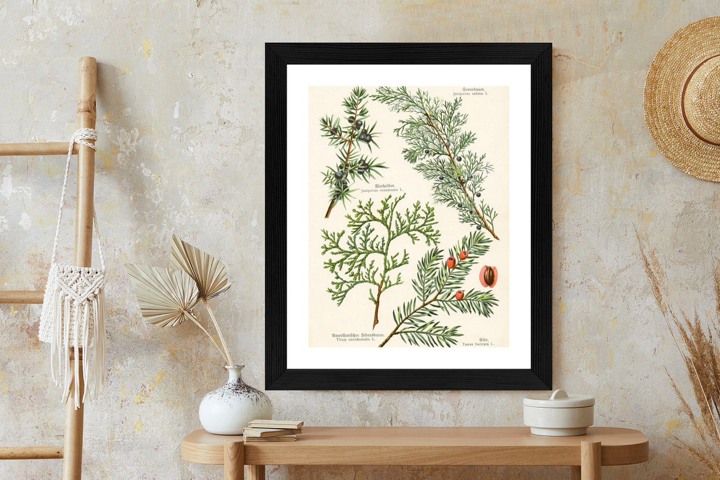 Poster Bilder Alter Botanischer Pflanzen Rahmen Aluminium Mit Passepartout Farbe Silber
