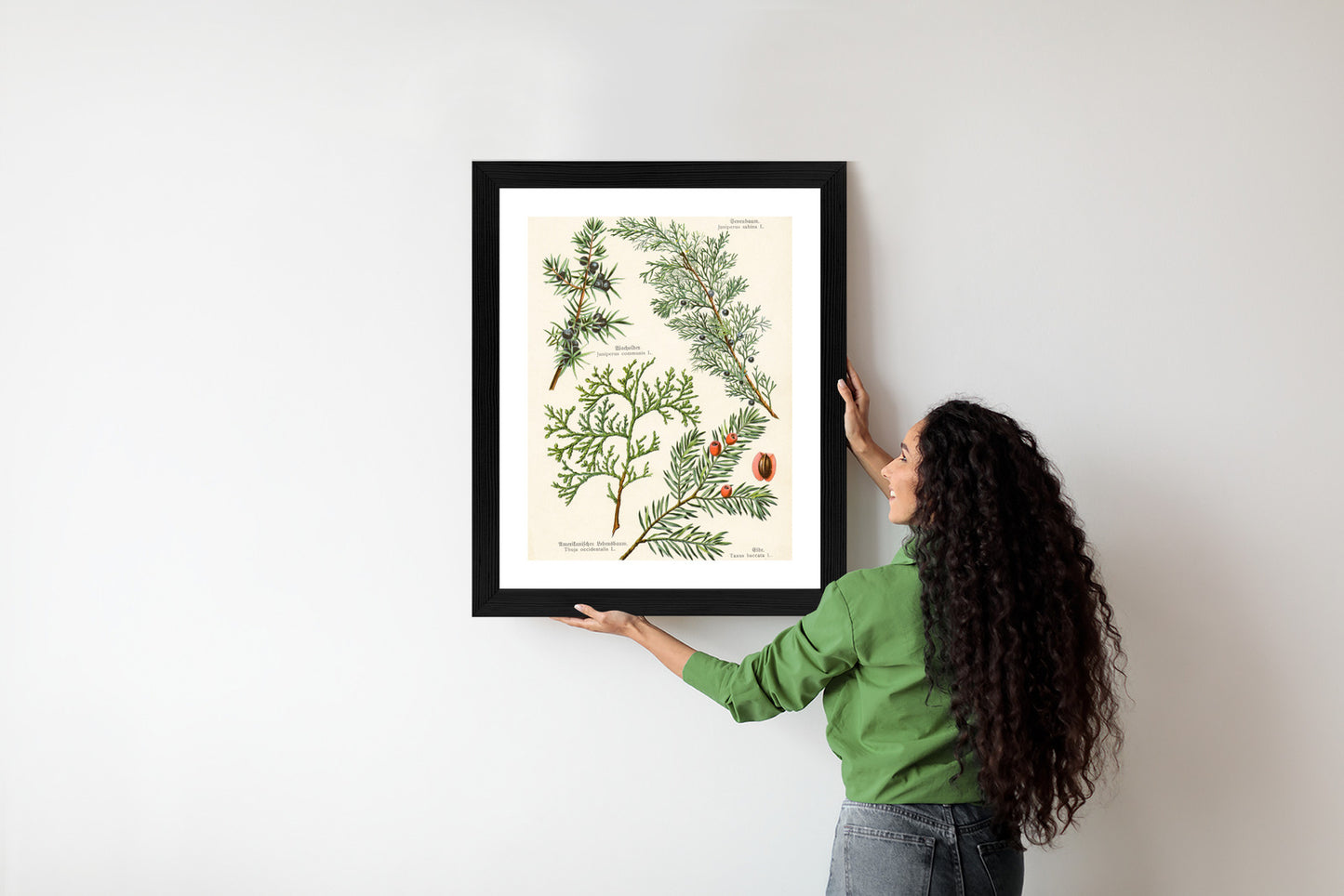 Poster Bilder Alter Botanischer Pflanzen Rahmen Aluminium Mit Passepartout Farbe Silber