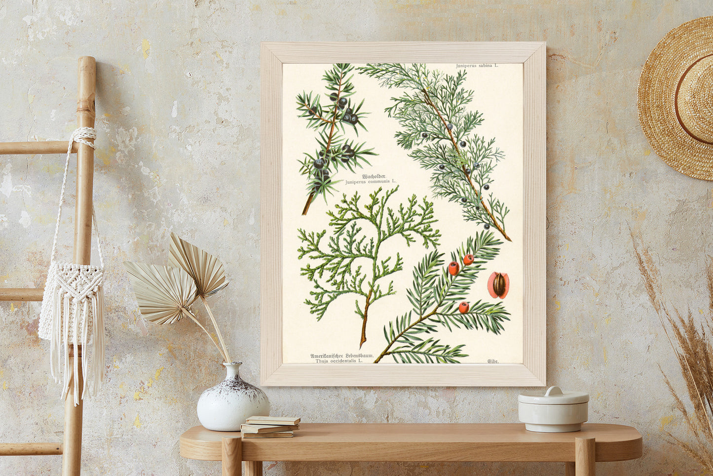 Poster Bilder Alter Botanischer Pflanzen Rahmen Aluminium Mit Passepartout Farbe Silber