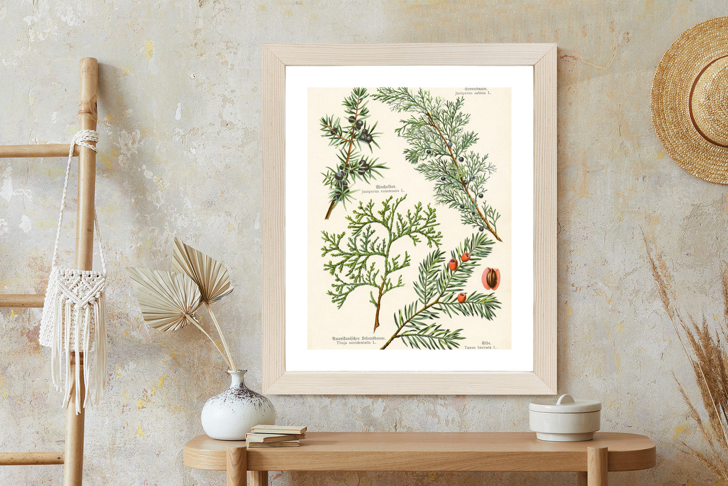 Poster Bilder Alter Botanischer Pflanzen Rahmen Aluminium Mit Passepartout Farbe Silber