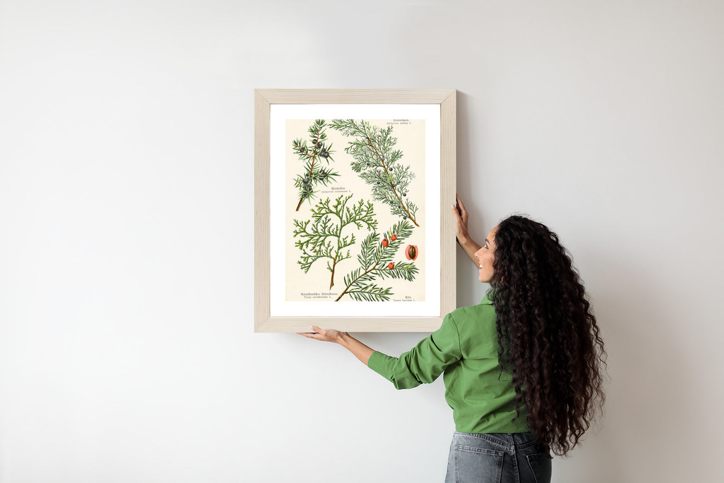 Poster Bilder Alter Botanischer Pflanzen Rahmen Aluminium Mit Passepartout Farbe Silber