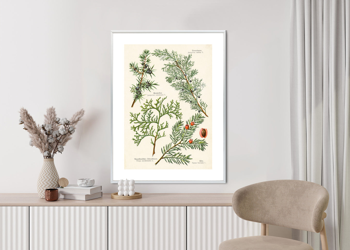 Poster Bilder Alter Botanischer Pflanzen Rahmen Aluminium Mit Passepartout Farbe Silber