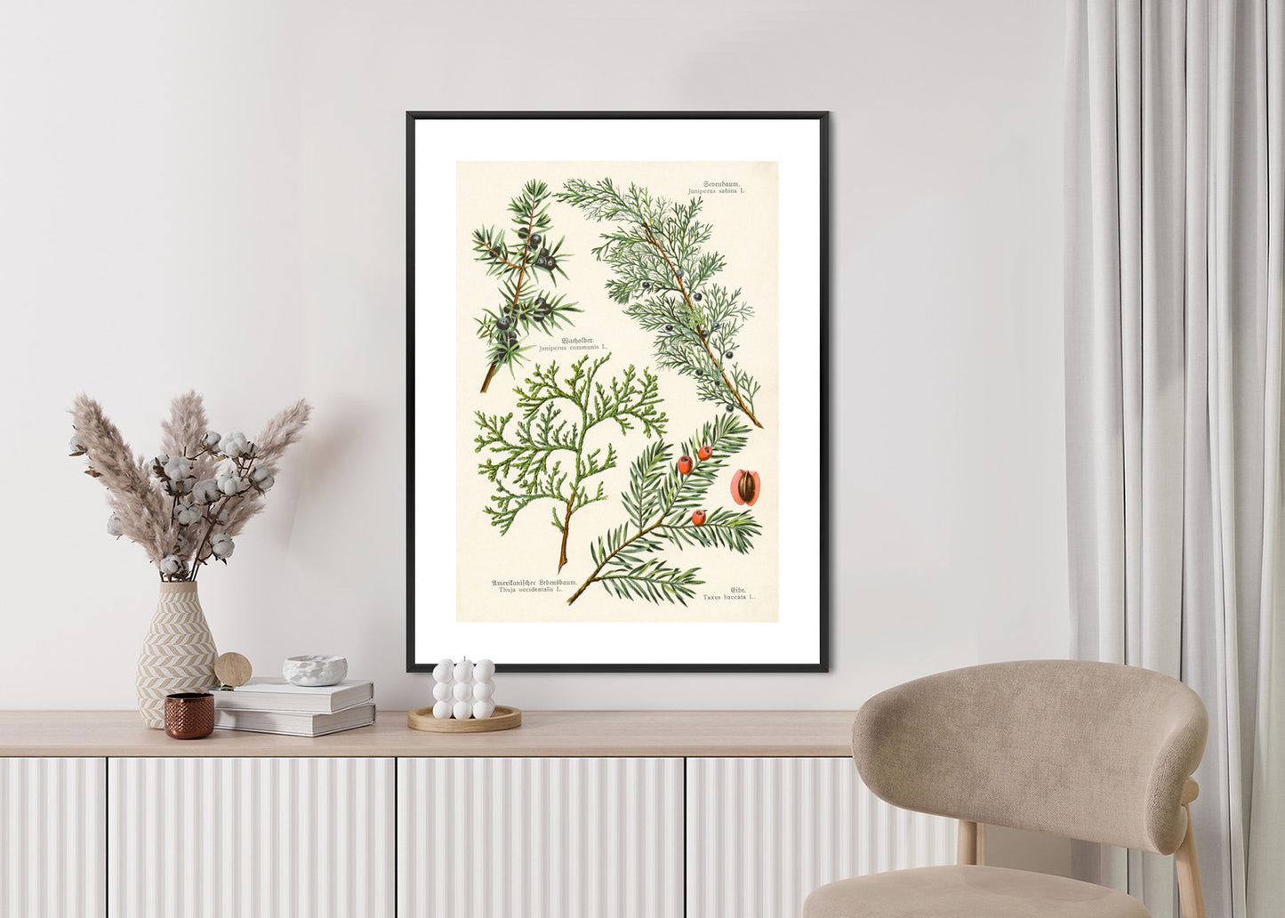 Poster Bilder Alter Botanischer Pflanzen Rahmen Aluminium Mit Passepartout Farbe Silber