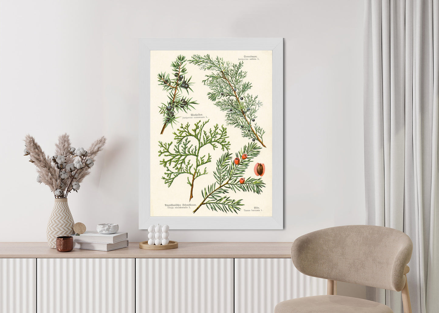 Poster Bilder Alter Botanischer Pflanzen Rahmen Aluminium Mit Passepartout Farbe Silber