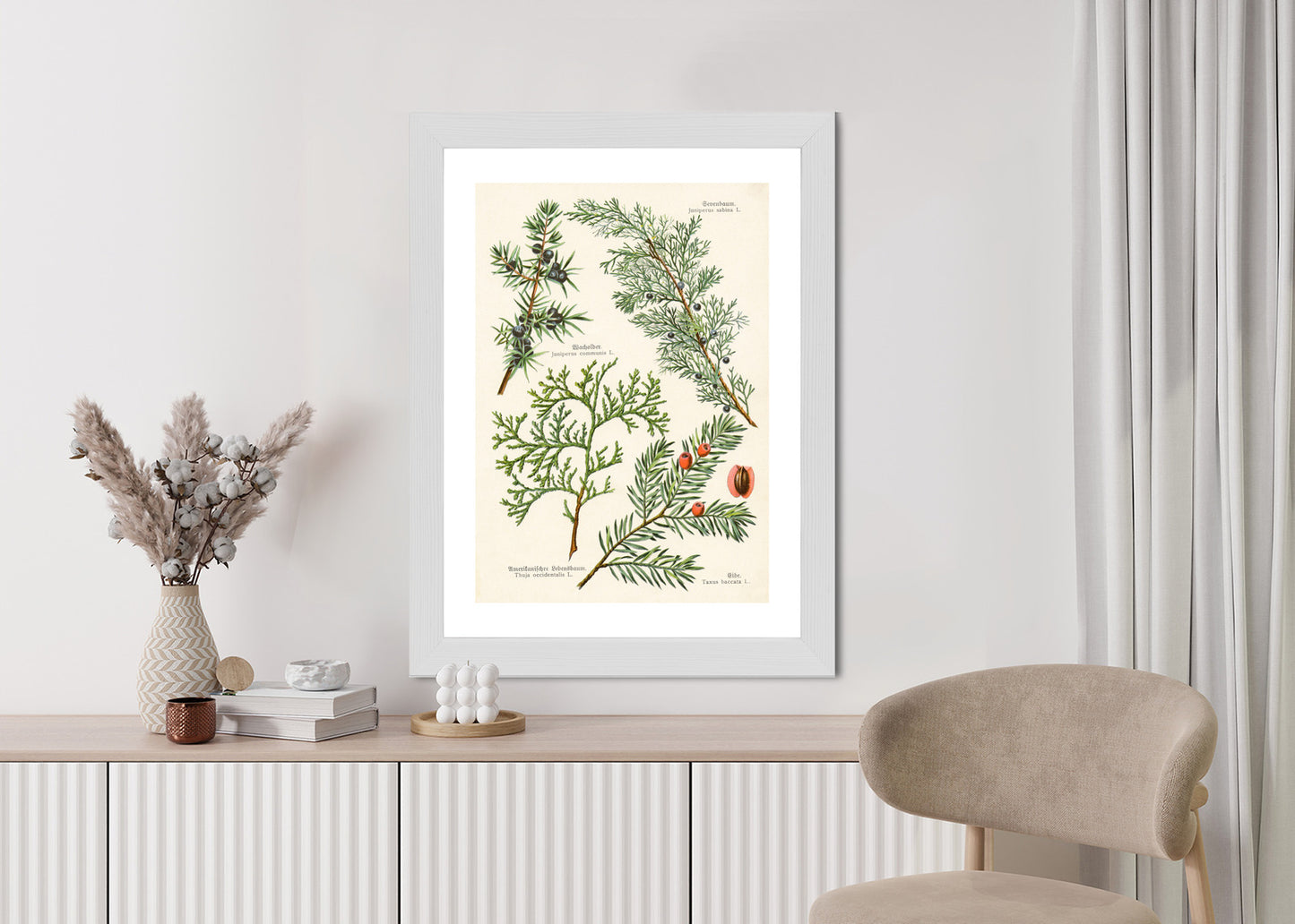 Poster Bilder Alter Botanischer Pflanzen Rahmen Aluminium Mit Passepartout Farbe Silber