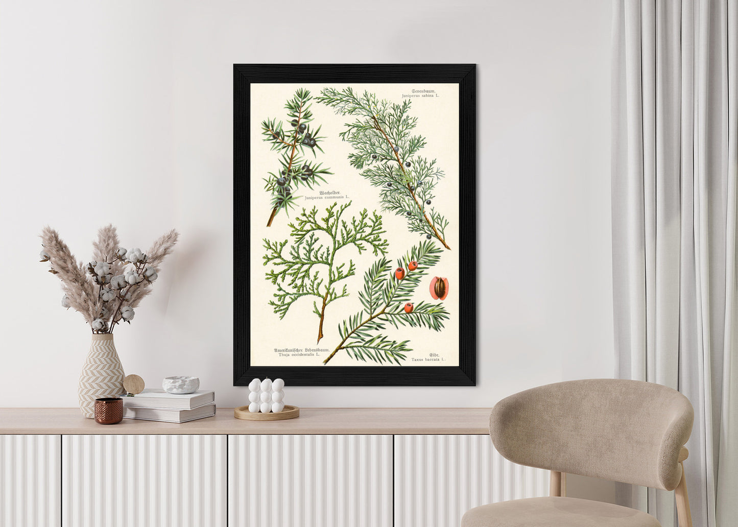 Poster Bilder Alter Botanischer Pflanzen Rahmen Aluminium Mit Passepartout Farbe Silber