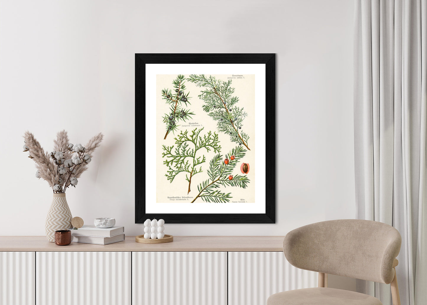 Poster Bilder Alter Botanischer Pflanzen Rahmen Aluminium Mit Passepartout Farbe Silber