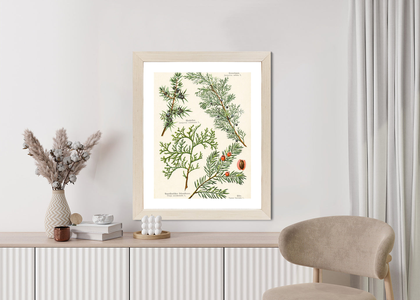 Poster Bilder Alter Botanischer Pflanzen Rahmen Aluminium Mit Passepartout Farbe Silber