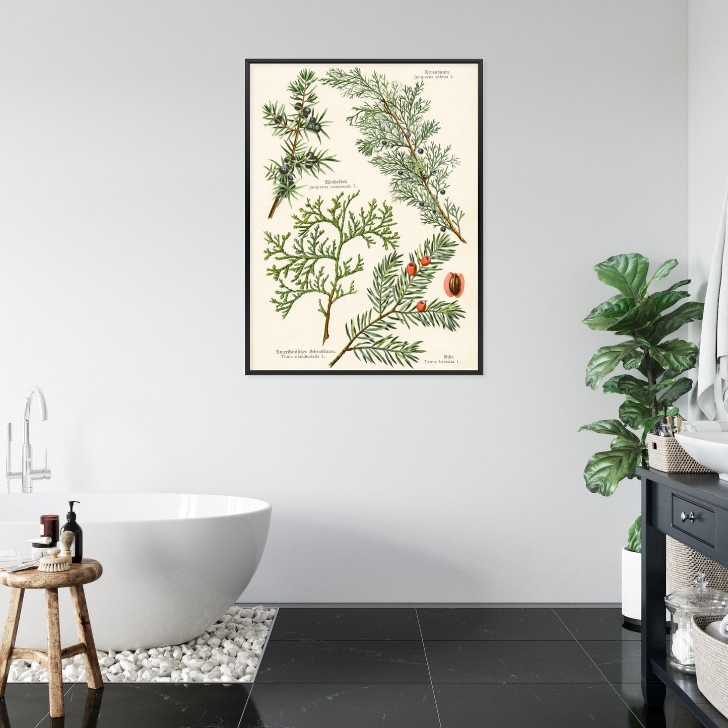 Poster Bilder Alter Botanischer Pflanzen Rahmen Aluminium Mit Passepartout Farbe Silber