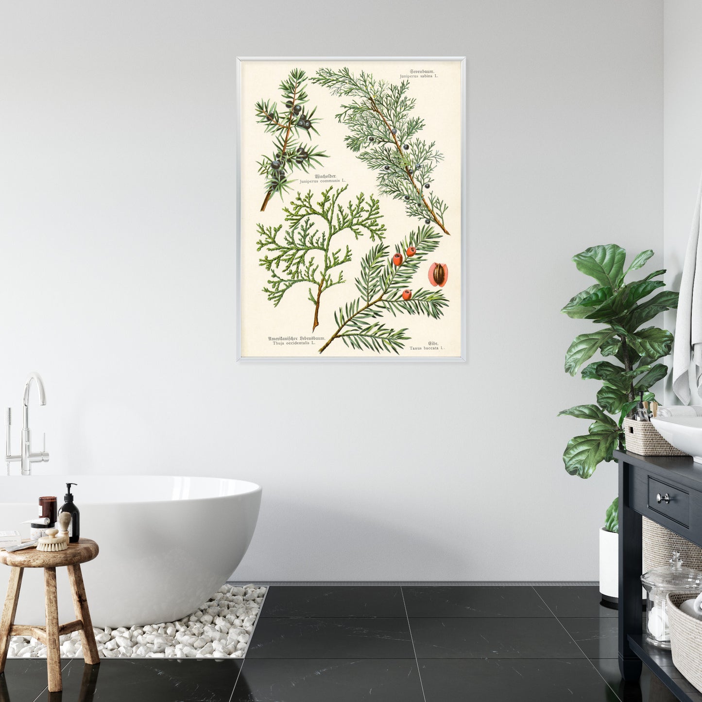 Poster Bilder Alter Botanischer Pflanzen Rahmen Aluminium Mit Passepartout Farbe Silber