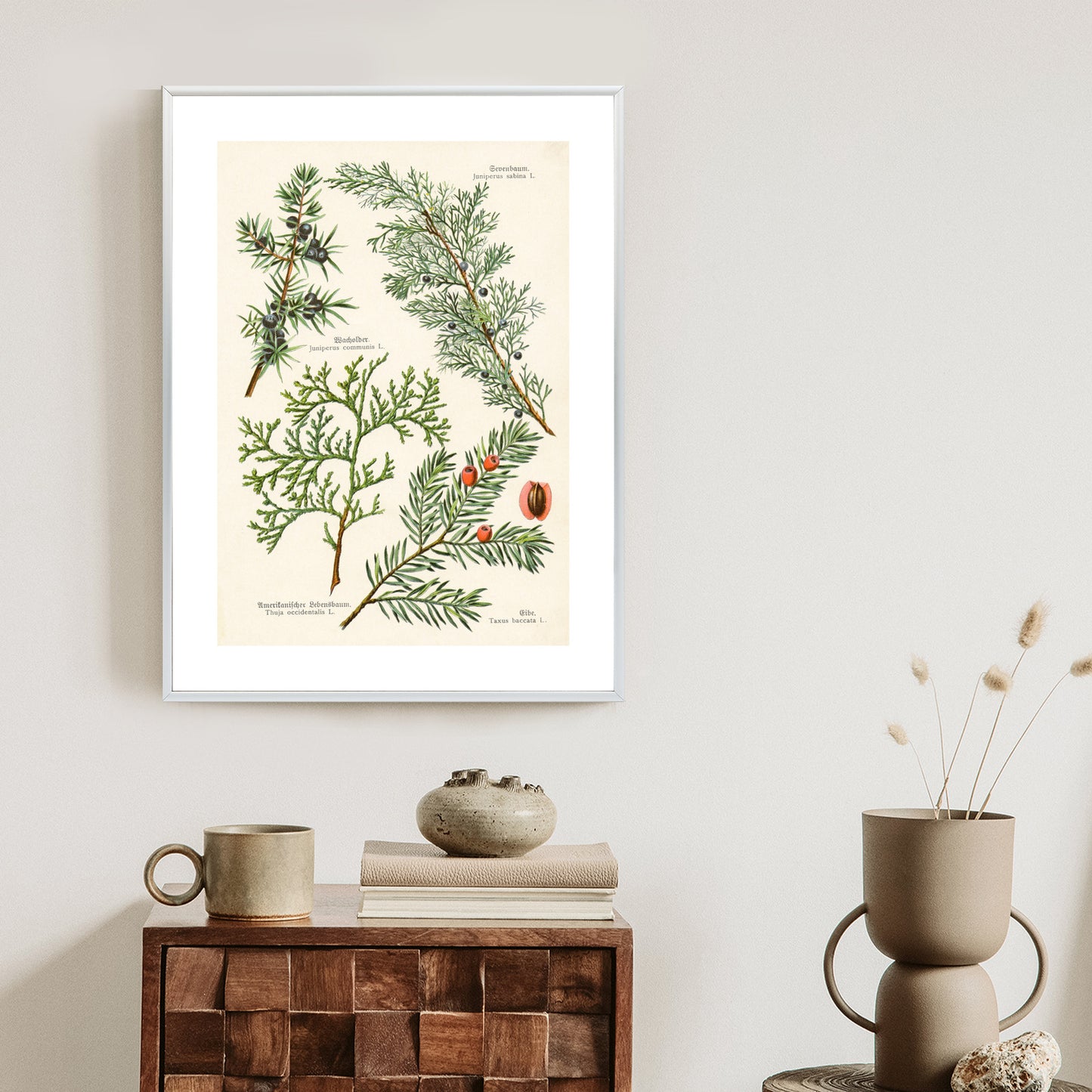 Poster Bilder Alter Botanischer Pflanzen Rahmen Aluminium Mit Passepartout Farbe Silber