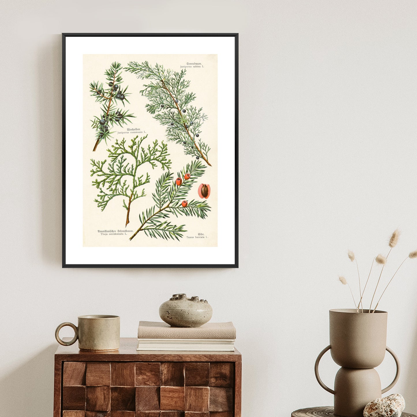 Poster Bilder Alter Botanischer Pflanzen Rahmen Aluminium Mit Passepartout Farbe Silber