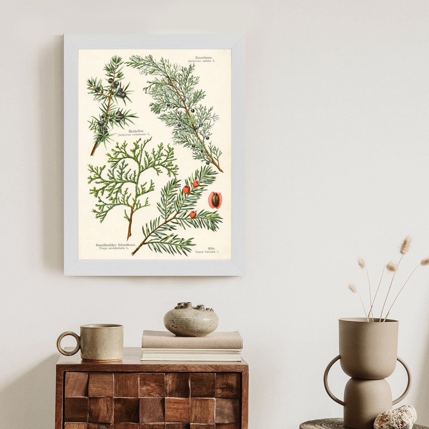 Poster Bilder Alter Botanischer Pflanzen Rahmen Aluminium Mit Passepartout Farbe Silber