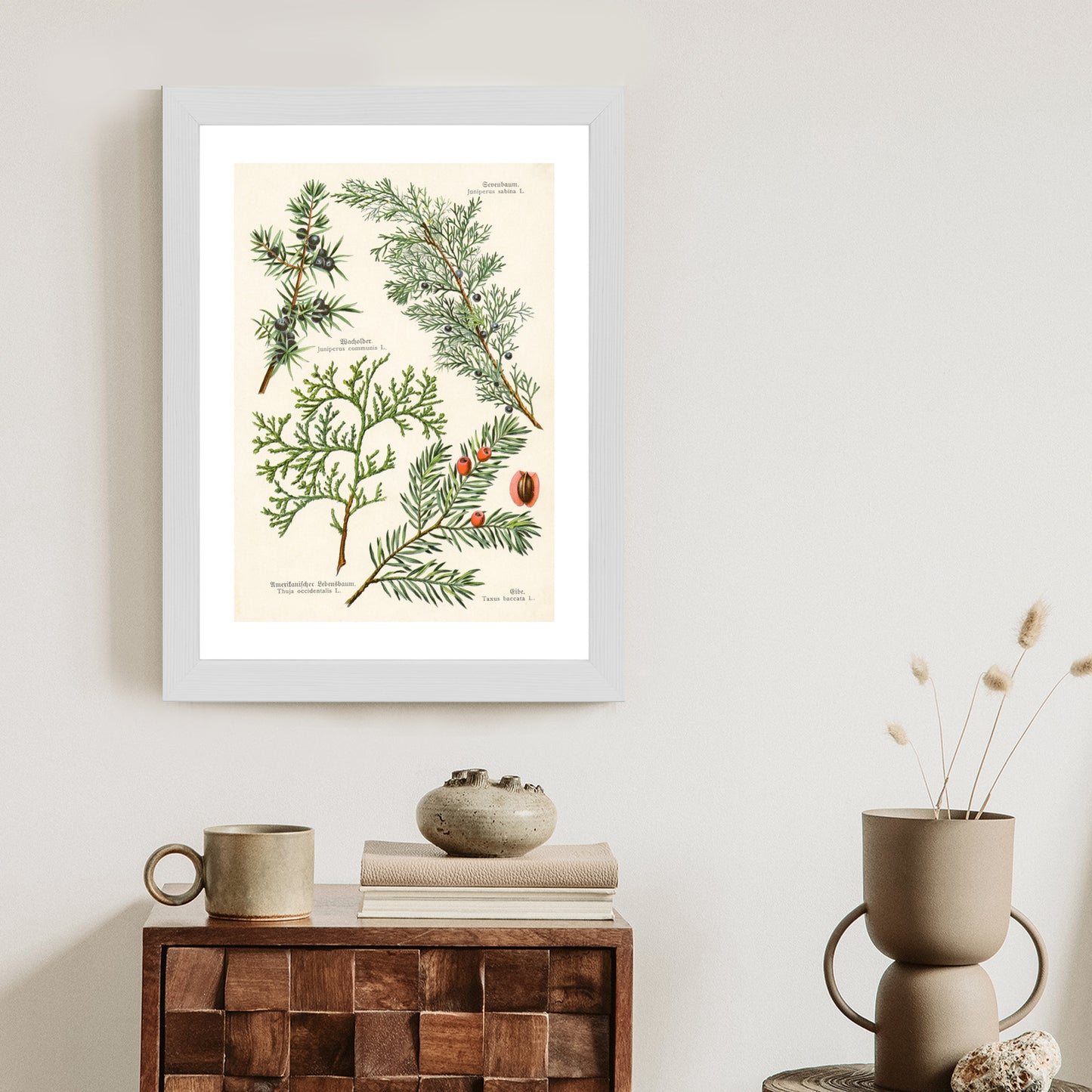 Poster Bilder Alter Botanischer Pflanzen Rahmen Aluminium Mit Passepartout Farbe Silber