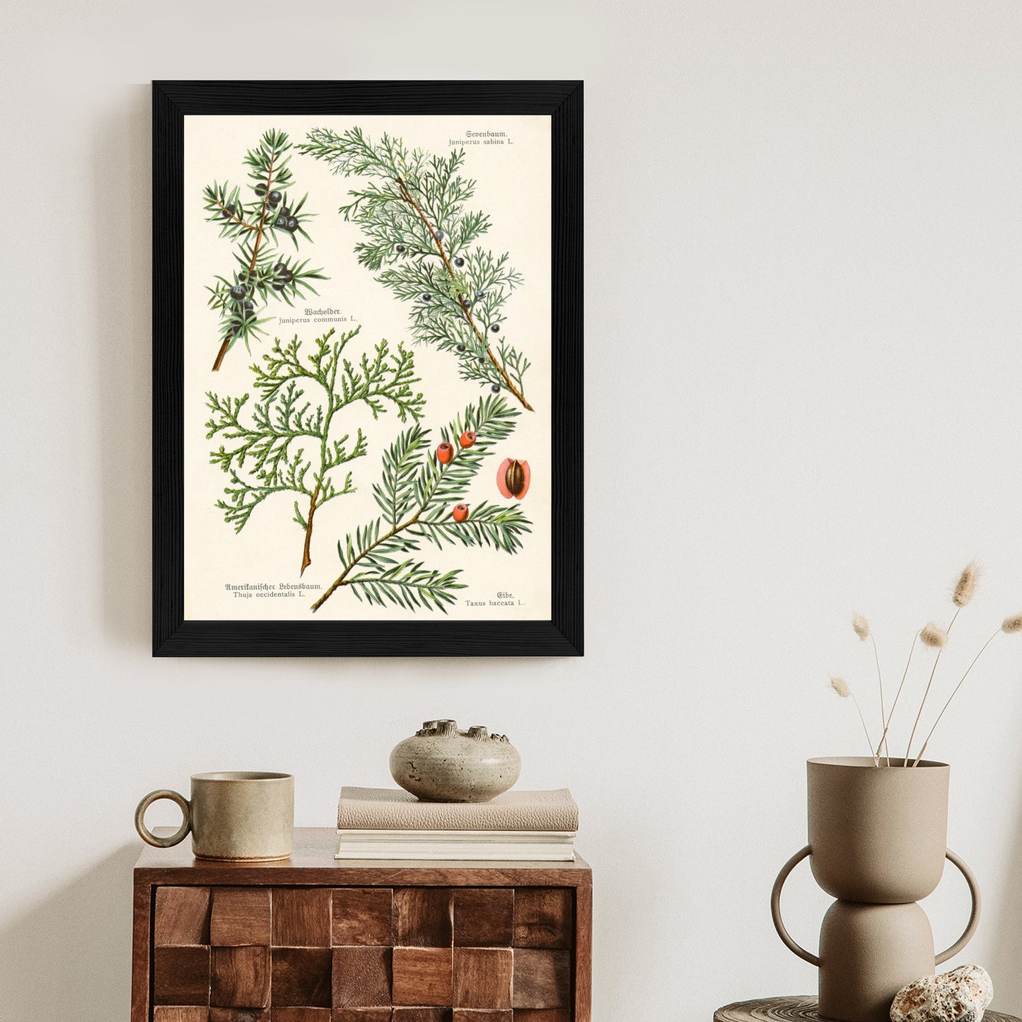 Poster Bilder Alter Botanischer Pflanzen Rahmen Aluminium Mit Passepartout Farbe Silber