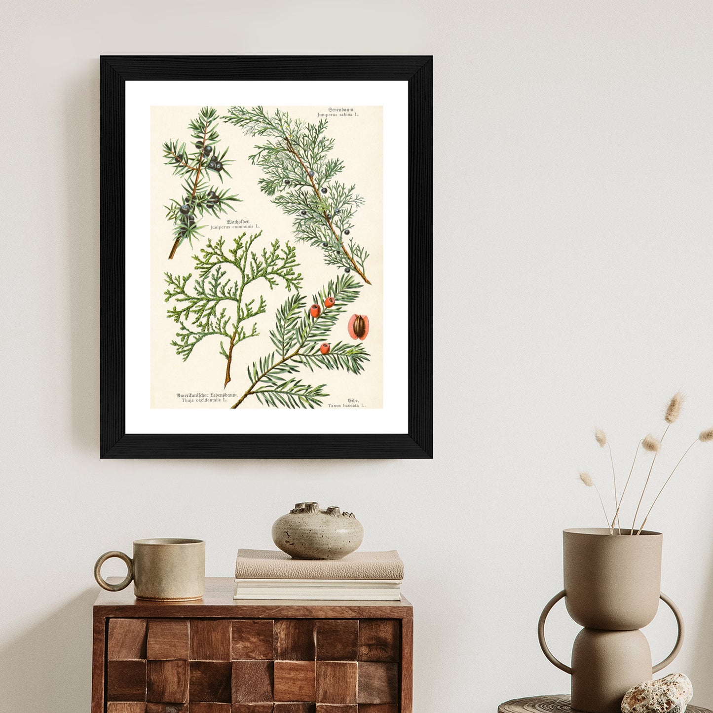 Poster Bilder Alter Botanischer Pflanzen Rahmen Aluminium Mit Passepartout Farbe Silber