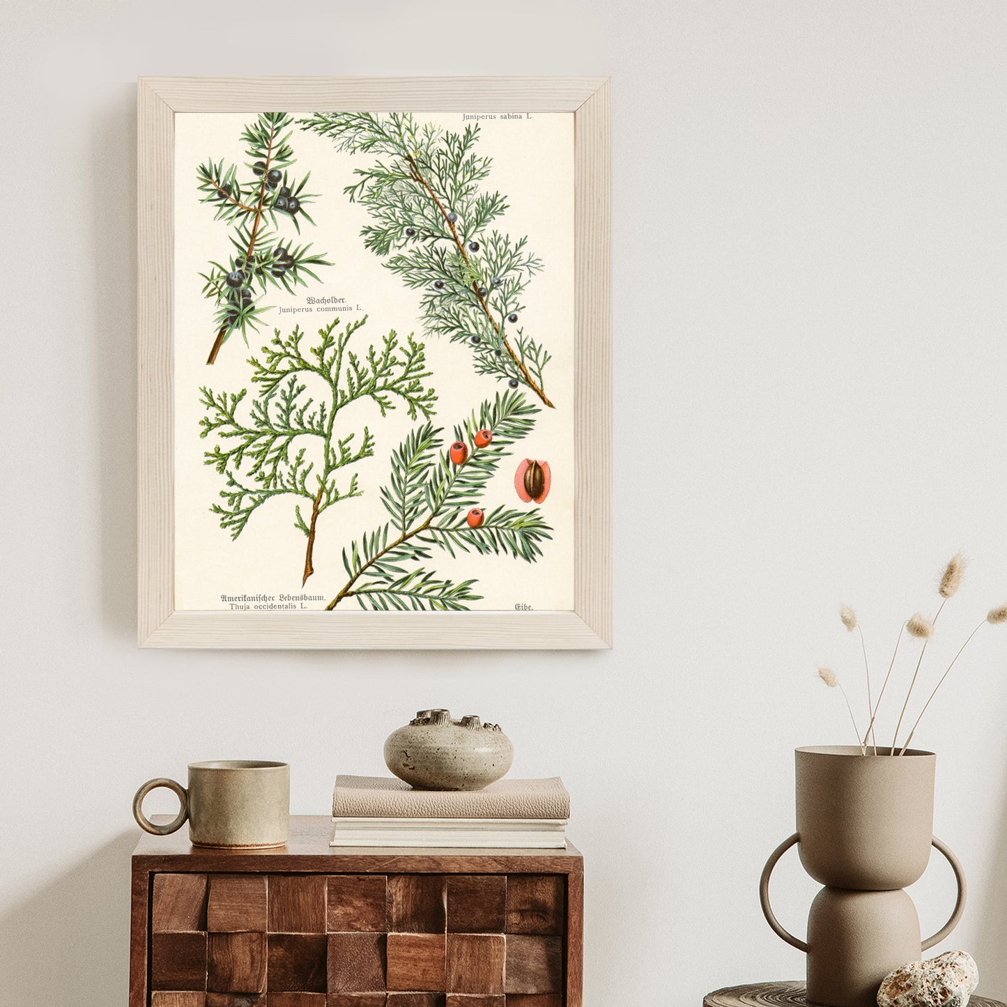 Poster Bilder Alter Botanischer Pflanzen Rahmen Aluminium Mit Passepartout Farbe Silber