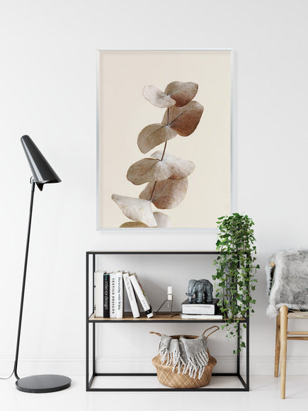 Poster Zweig Mit Trockenen Eukalyptusblättern