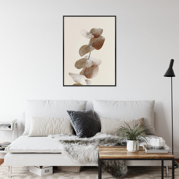 Poster Zweig Mit Trockenen Eukalyptusblättern