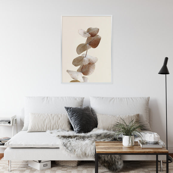 Poster Zweig Mit Trockenen Eukalyptusblättern