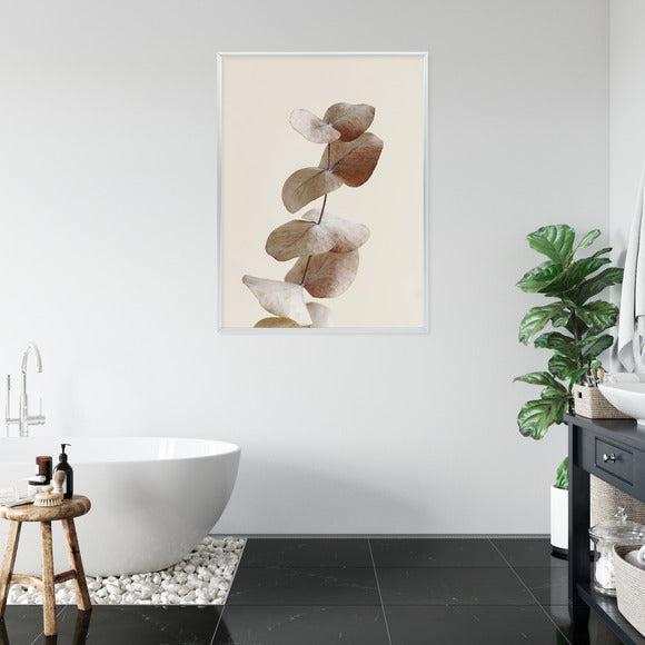Poster Zweig Mit Trockenen Eukalyptusblättern