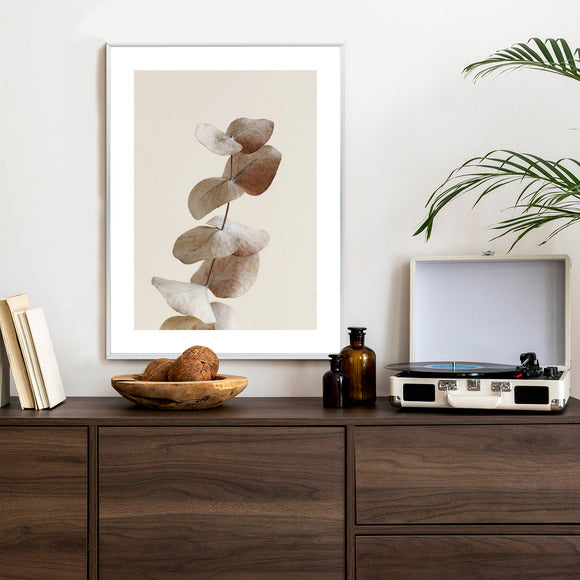 Poster Zweig Mit Trockenen Eukalyptusblättern