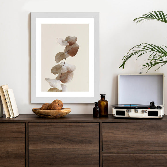 Poster Zweig Mit Trockenen Eukalyptusblättern