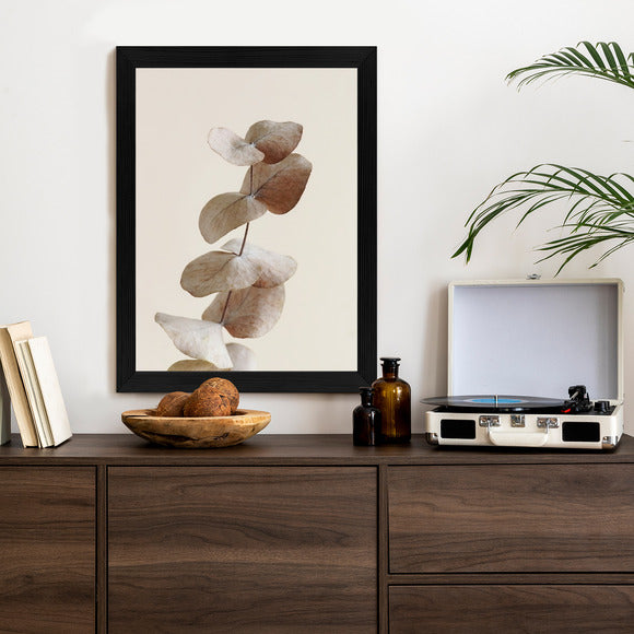 Poster Zweig Mit Trockenen Eukalyptusblättern