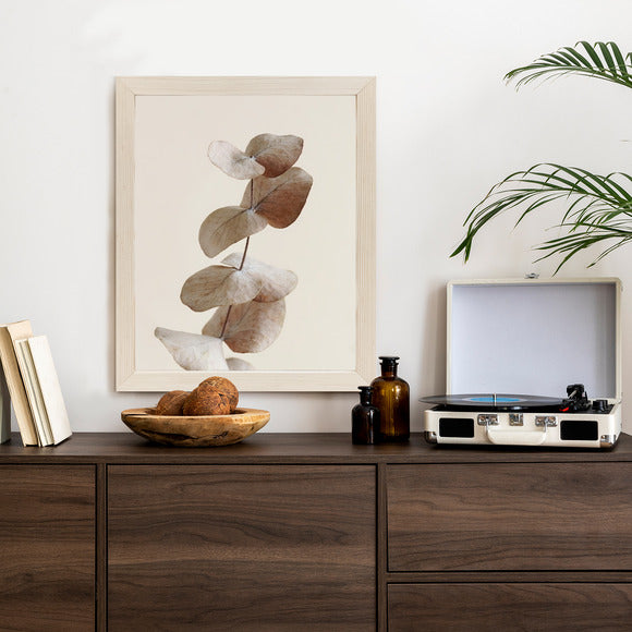 Poster Zweig Mit Trockenen Eukalyptusblättern