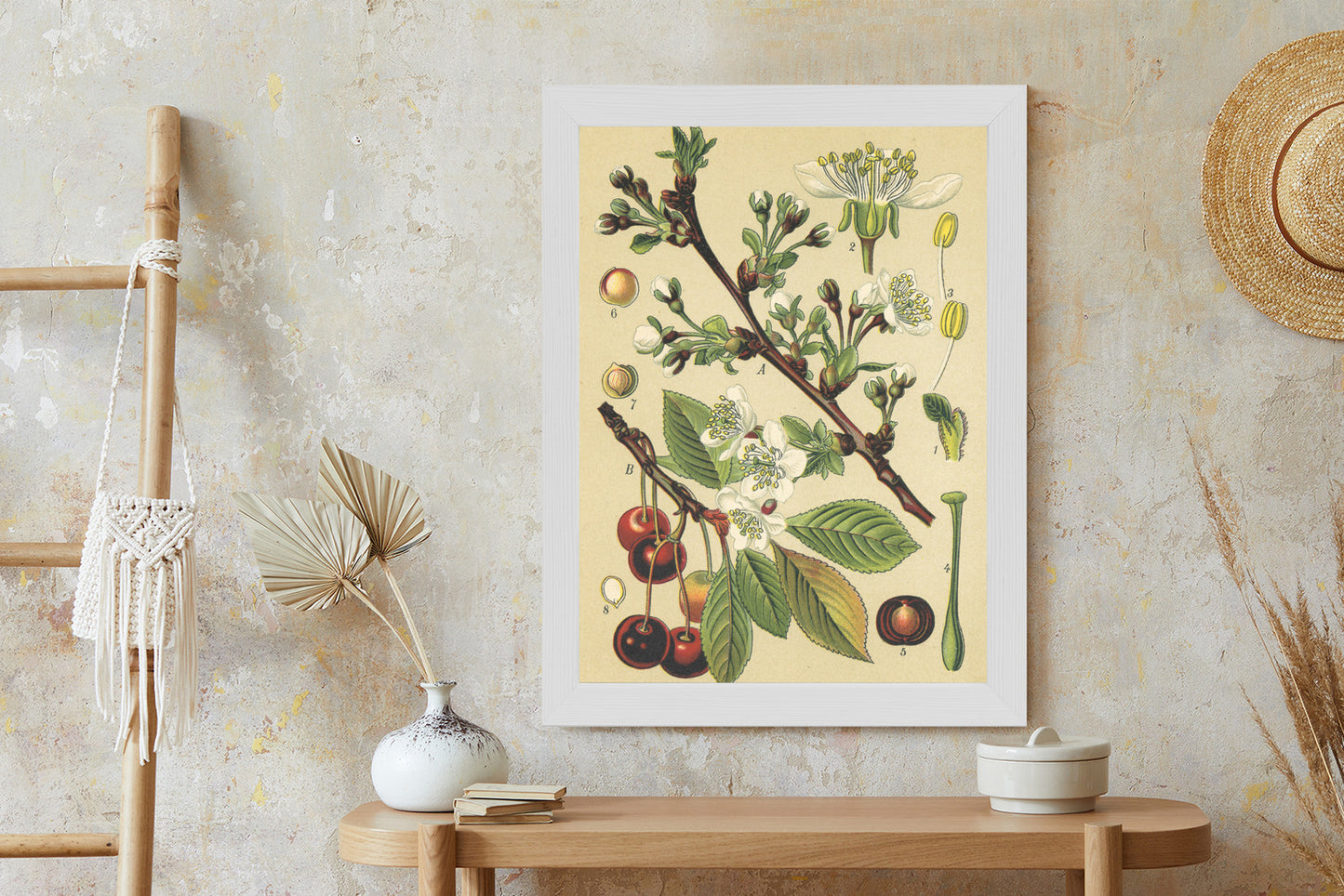 Poster Vintage Botanische Illustration Von Kirschblüten Rahmen Holz Mit Passepartout Farbe Natürlich