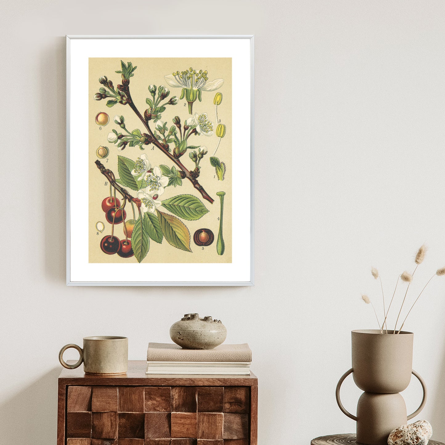 Poster Vintage Botanische Illustration Von Kirschblüten Rahmen Holz Mit Passepartout Farbe Natürlich