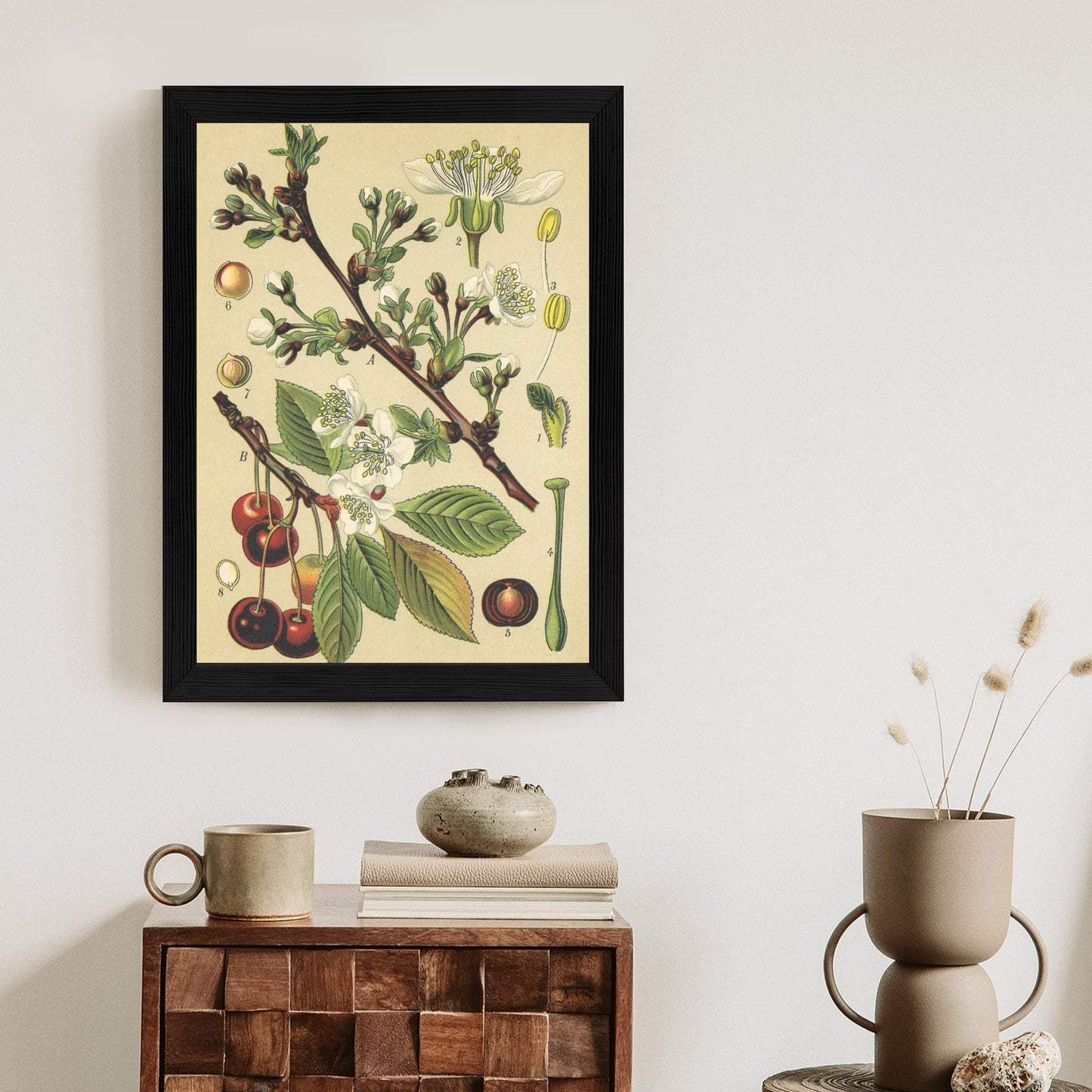 Poster Vintage Botanische Illustration Von Kirschblüten Rahmen Holz Mit Passepartout Farbe Natürlich