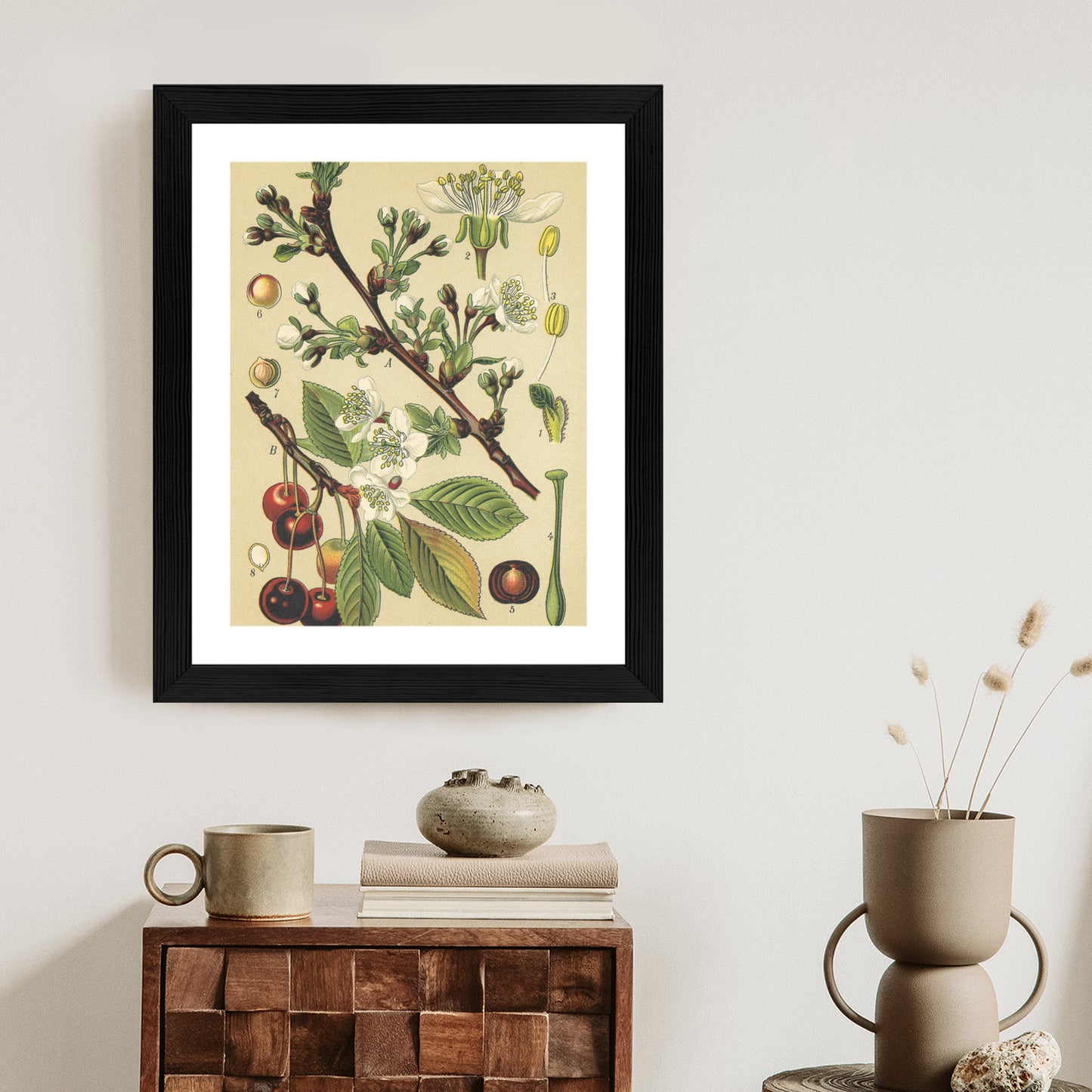 Poster Vintage Botanische Illustration Von Kirschblüten Rahmen Holz Mit Passepartout Farbe Natürlich