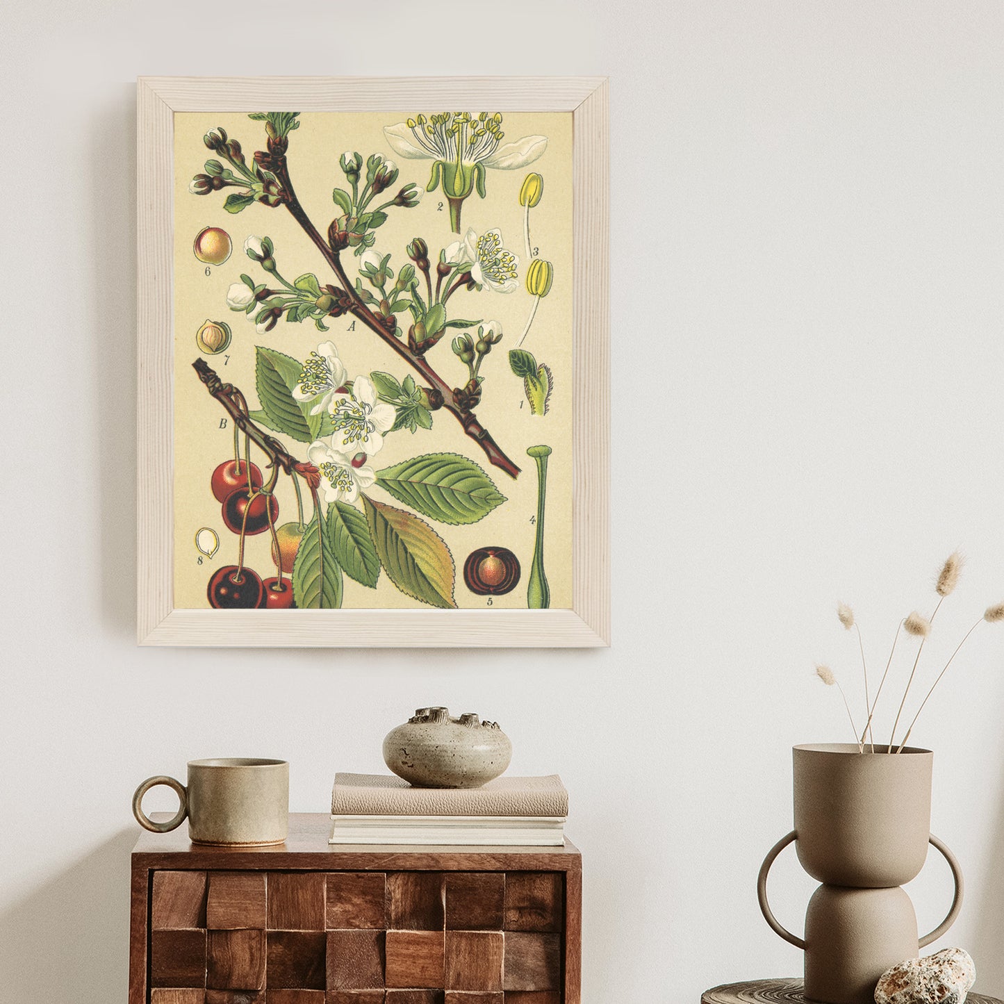 Poster Vintage Botanische Illustration Von Kirschblüten Rahmen Holz Mit Passepartout Farbe Natürlich